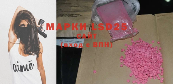 индика Богданович