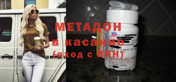 индика Богданович