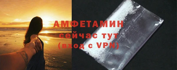 индика Богданович
