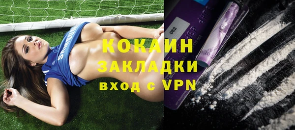 apvp Богородицк