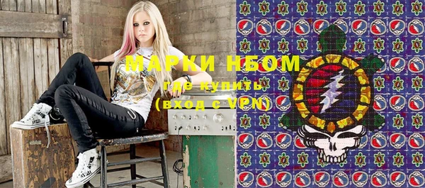 индика Богданович