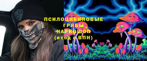 apvp Богородицк