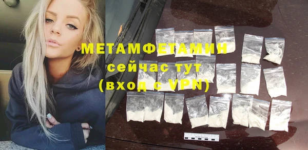 индика Богданович
