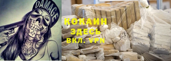 индика Богданович