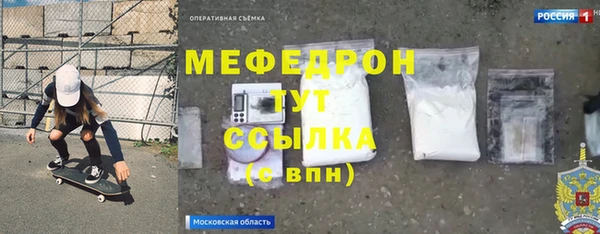 индика Богданович