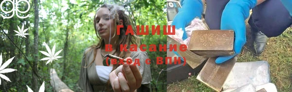 индика Богданович