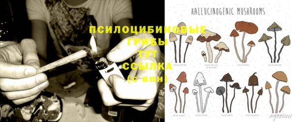 индика Богданович